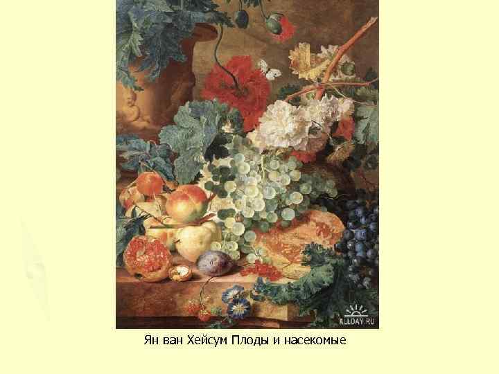 Ян ван Хейсум Плоды и насекомые 