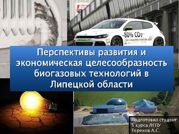 Перспективы развития и экономическая целесообразность биогазовых технологий в Липецкой области Подготовил студент 5 курса
