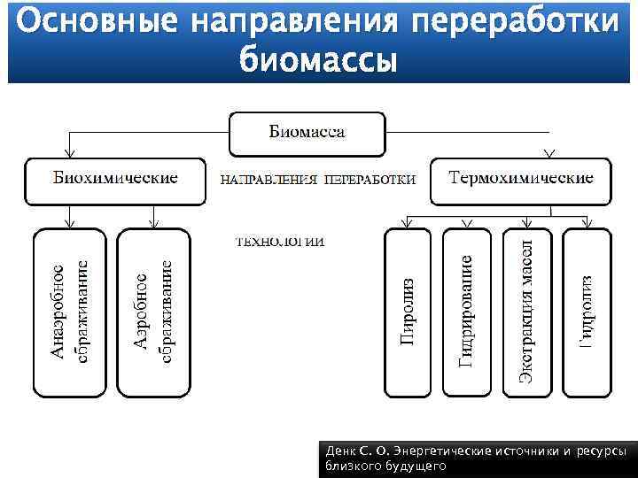 Основные направления переработки биомассы Денк С. О. Энергетические источники и ресурсы близкого будущего 