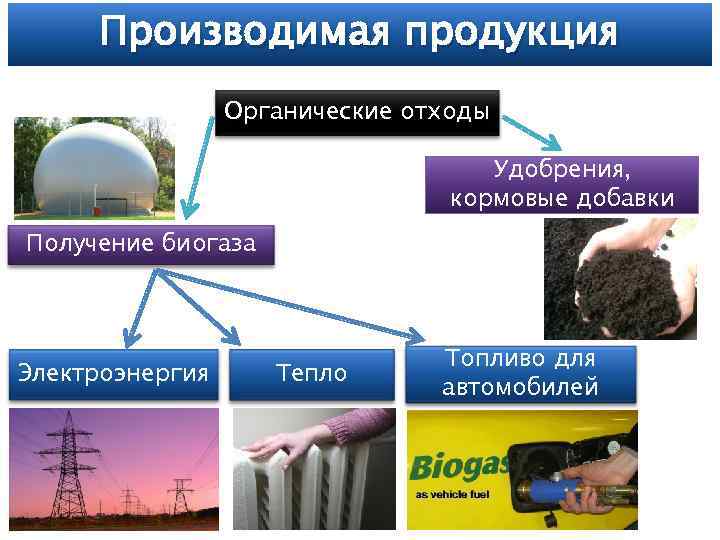 Производимая продукция Органические отходы Удобрения, кормовые добавки Получение биогаза Электроэнергия Тепло Топливо для автомобилей