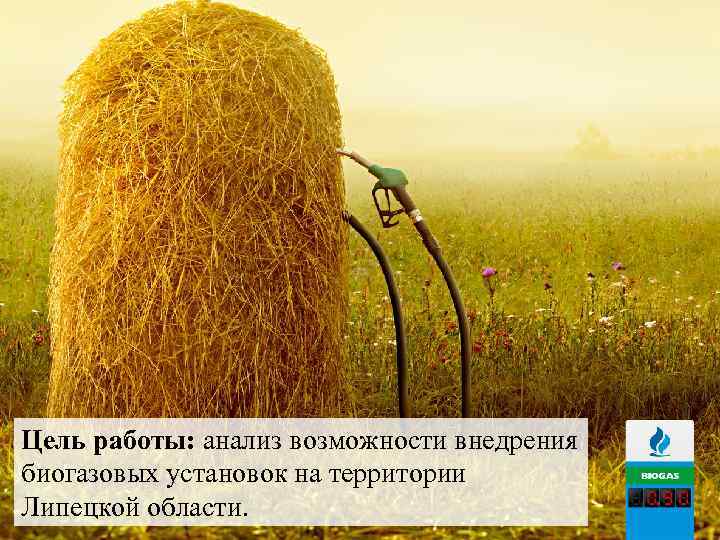 Цель работы: анализ возможности внедрения биогазовых установок на территории Липецкой области. 