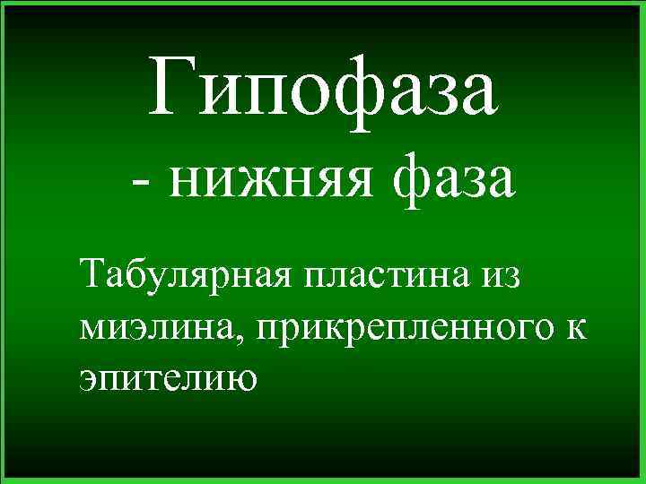 Гипофаза - нижняя фаза Табулярная пластина из миэлина, прикрепленного к эпителию 