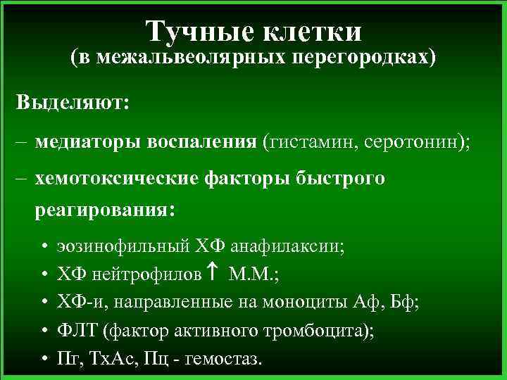 Тучные клетки (в межальвеолярных перегородках) Выделяют: – медиаторы воспаления (гистамин, серотонин); – хемотоксические факторы