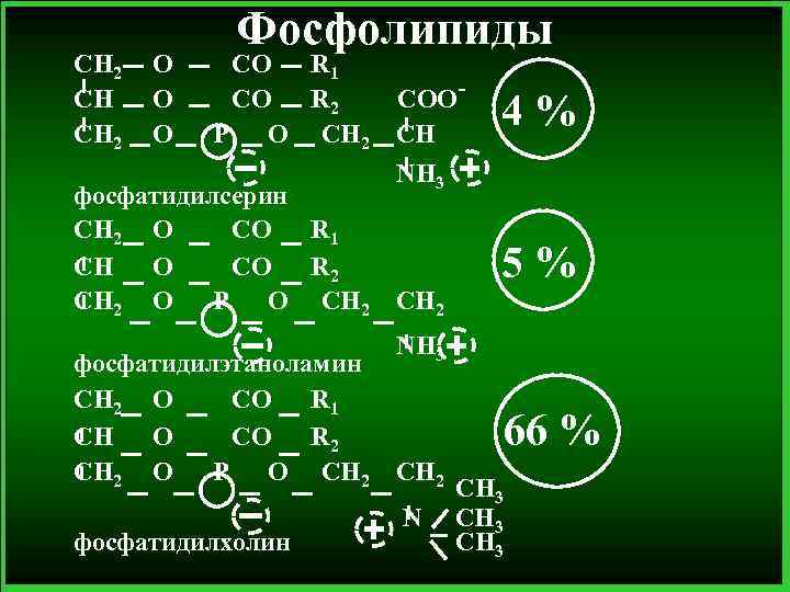 CH 2 CH CH 2 O O O Фосфолипиды CO R 1 CO R