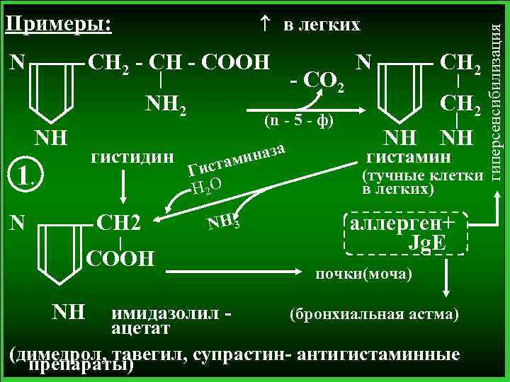 N в легких CH 2 - CH - COOH NH 2 NH 1. N