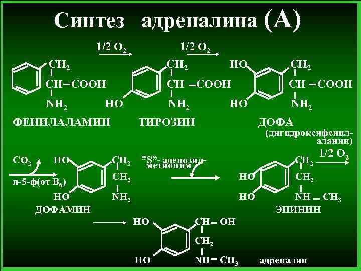 Схема синтеза дофамина