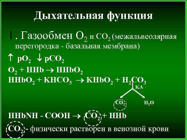 Дыхательная функция 1. Газообмен О 2 и СО 2 (межальвеолярная перегородка - базальная мембрана)