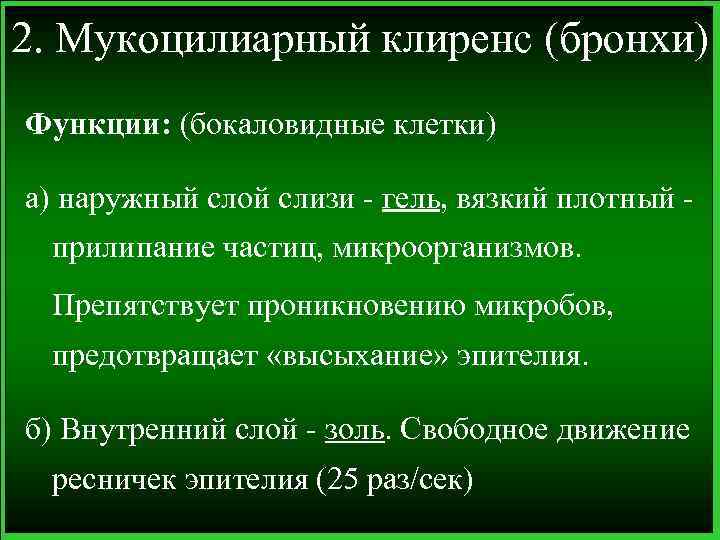 2. Мукоцилиарный клиренс (бронхи) Функции: (бокаловидные клетки) а) наружный слой слизи - гель, вязкий