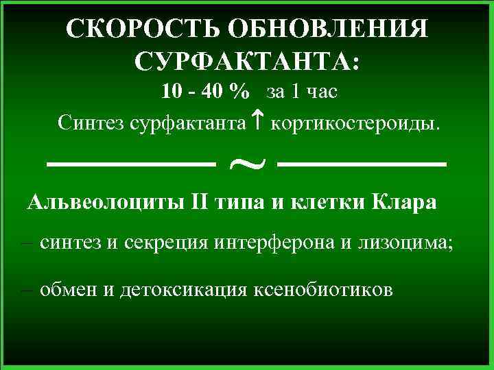 СКОРОСТЬ ОБНОВЛЕНИЯ СУРФАКТАНТА: 10 - 40 % за 1 час Синтез сурфактанта кортикостероиды. ~