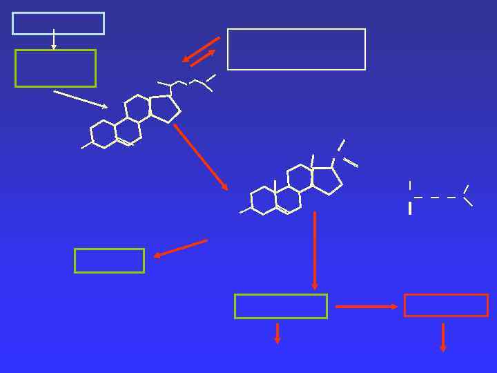Ангиотензин 2 Ангиотензин 3 
