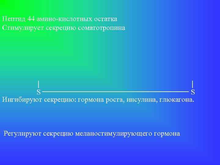 Пептид 44 амино-кислотных остатка Стимулирует секрецию соматотропина S S Ингибируют секрецию: гормона роста, инсулина,