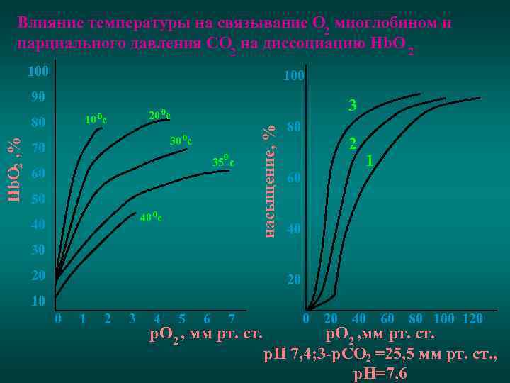 Влияние температуры на связывание О 2 миоглобином и парциального давления СО 2 на диссоциацию
