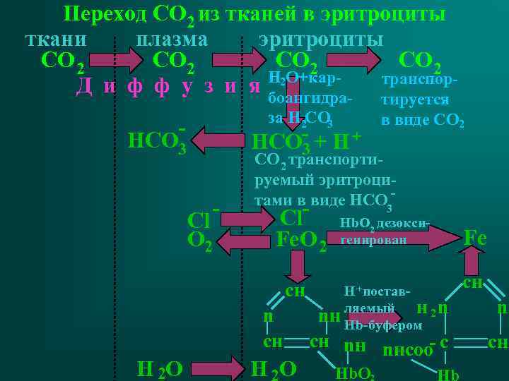 Переход СО 2 из тканей в эритроциты ткани плазма эритроциты СО 2 транспор. Д