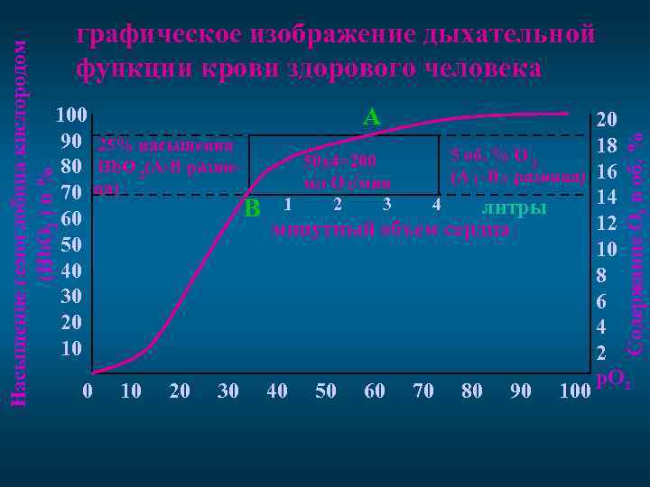 100 А 90 25% насыщения 5 об. % О 2 50 х4=200 Hb. O