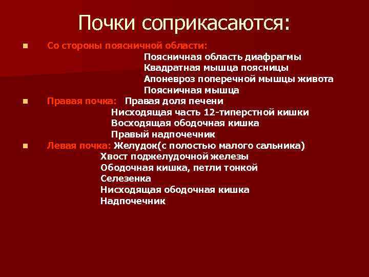 Почки соприкасаются: n n n Со стороны поясничной области: Поясничная область диафрагмы Квадратная мышца