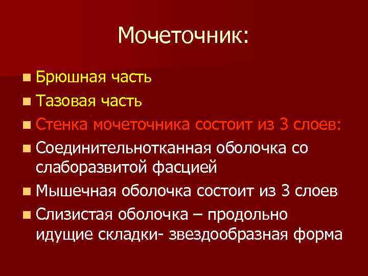 Мочеточник: n Брюшная часть n Тазовая часть n Стенка мочеточника состоит из 3 слоев: