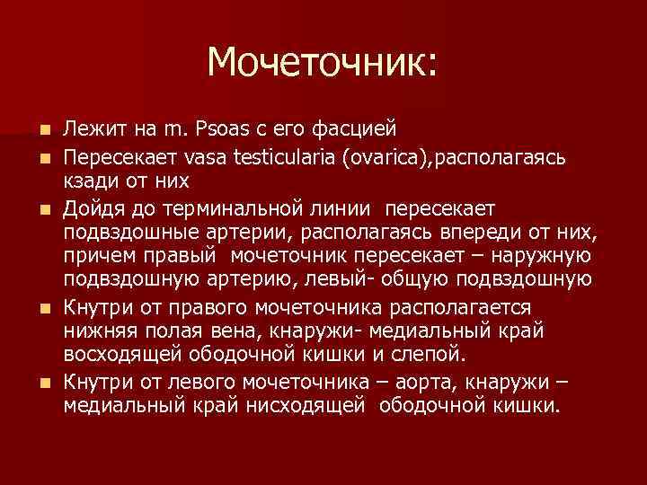 Мочеточник: n n n Лежит на m. Psoas с его фасцией Пересекает vasa testicularia