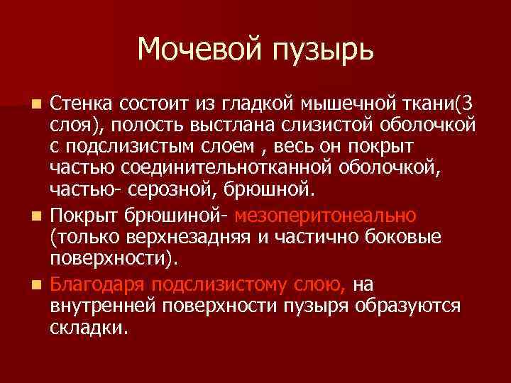 Мочевой пузырь Стенка состоит из гладкой мышечной ткани(3 слоя), полость выстлана слизистой оболочкой с