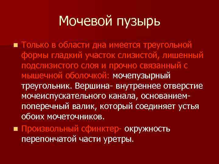 Мочевой пузырь Только в области дна имеется треугольной формы гладкий участок слизистой, лишенный подслизистого