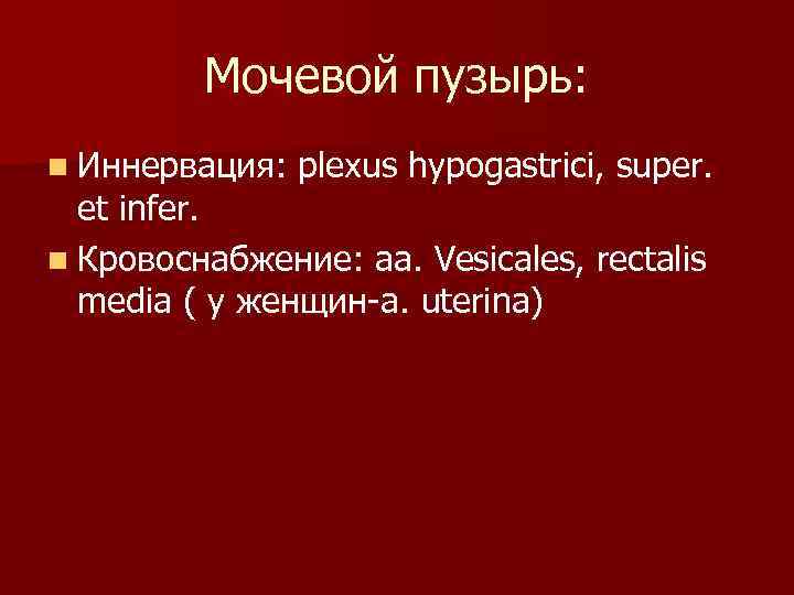 Мочевой пузырь: n Иннервация: plexus hypogastrici, super. et infer. n Кровоснабжение: aa. Vesicales, rectalis