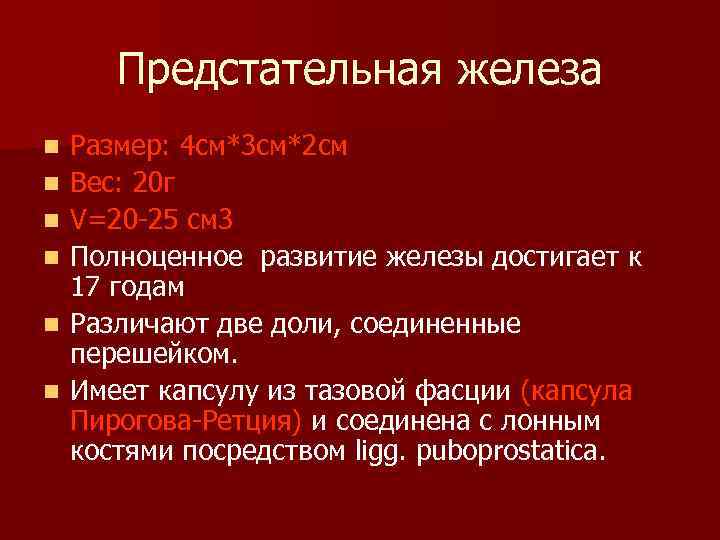 Предстательная железа n n n Размер: 4 см*3 см*2 см Вес: 20 г V=20