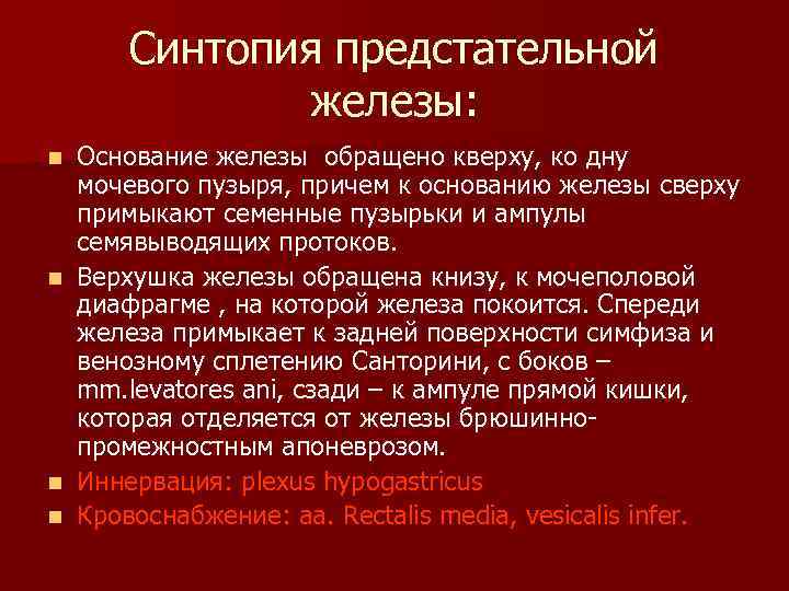 Синтопия предстательной железы: n n Основание железы обращено кверху, ко дну мочевого пузыря, причем