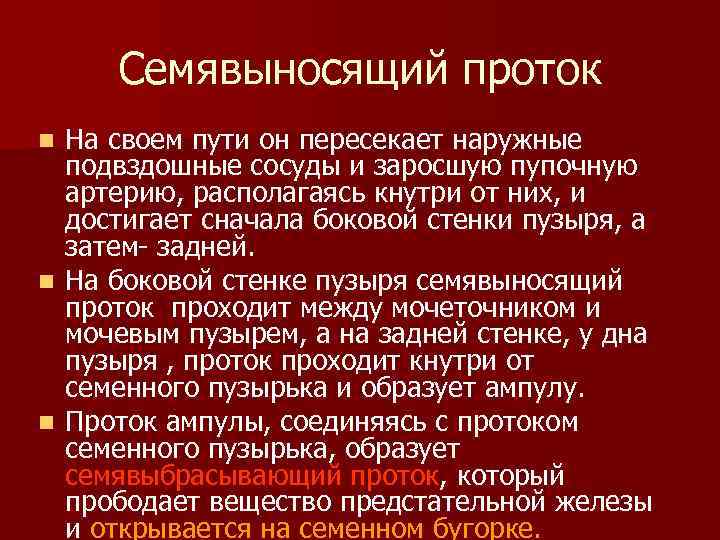 Семявыносящий проток На своем пути он пересекает наружные подвздошные сосуды и заросшую пупочную артерию,