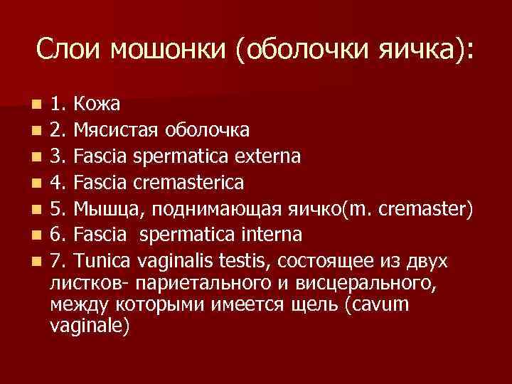 Слои мошонки (оболочки яичка): n n n n 1. Кожа 2. Мясистая оболочка 3.