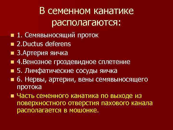 В семенном канатике располагаются: n n n n 1. Семявыносящий проток 2. Ductus deferens