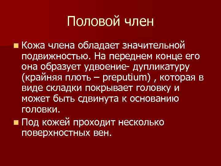 Половой член n Кожа члена обладает значительной подвижностью. На переднем конце его она образует