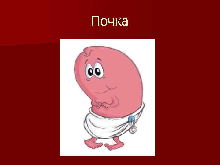 Почка 