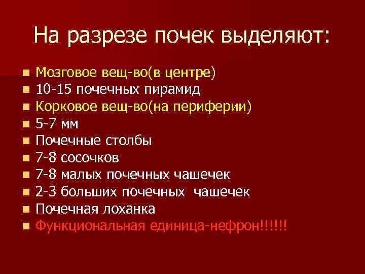 На разрезе почек выделяют: n n n n n Мозговое вещ-во(в центре) 10 -15