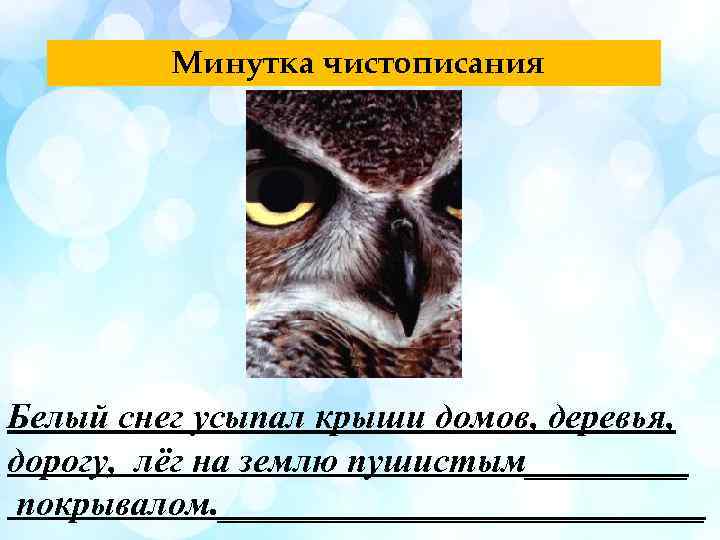 Минутка чистописания Белый снег усыпал крыши домов, деревья, дорогу, лёг на землю пушистым_____ покрывалом.
