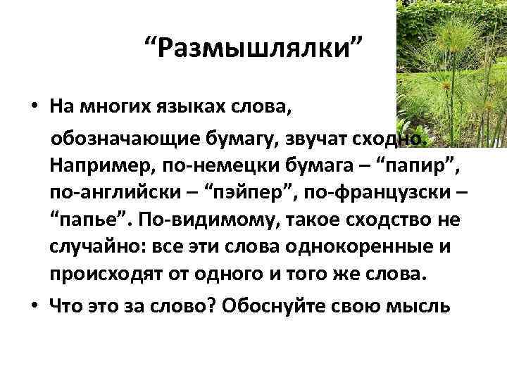 “Размышлялки” • На многих языках слова, обозначающие бумагу, звучат сходно. Например, по-немецки бумага –