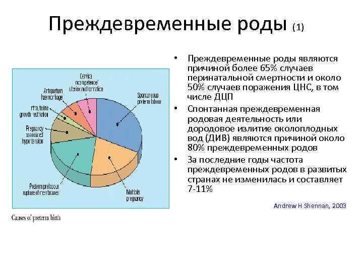 Преждевременные роды (1) • Преждевременные роды являются причиной более 65% случаев перинатальной смертности и
