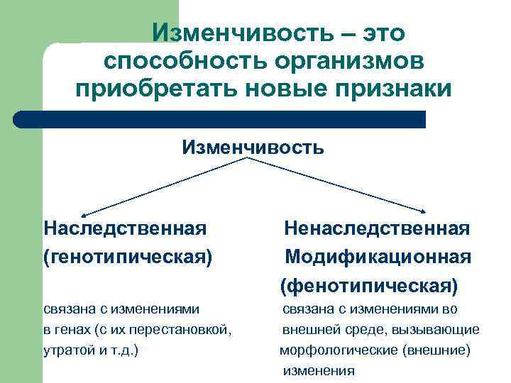 Изменчивость – это способность организмов приобретать новые признаки Изменчивость Наследственная (генотипическая) Ненаследственная Модификационная (фенотипическая)