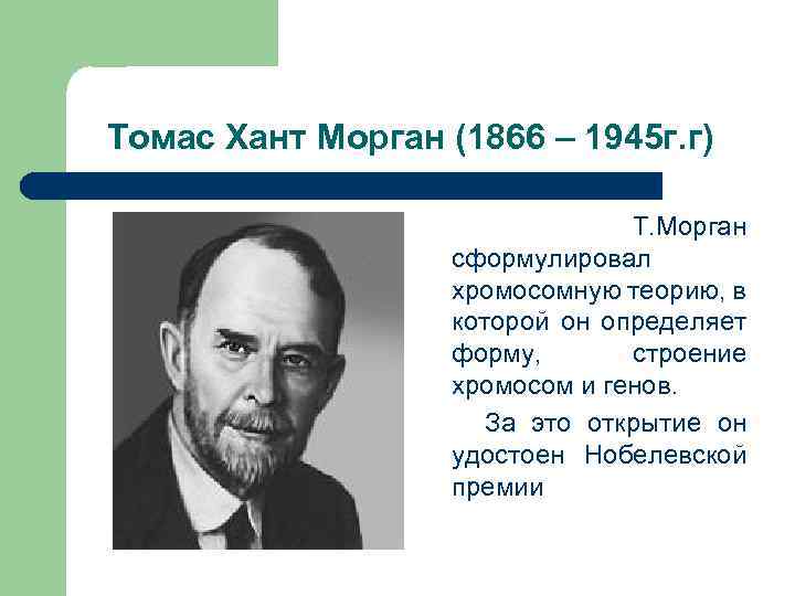 Томас Хант Морган (1866 – 1945 г. г) Т. Морган сформулировал хромосомную теорию, в