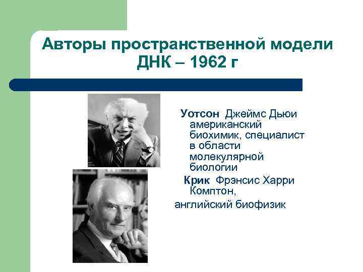 Авторы пространственной модели ДНК – 1962 г Уотсон Джеймс Дьюи американский биохимик, специалист в