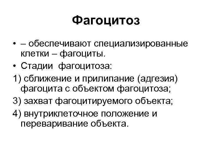 Фагоцитоз • – обеспечивают специализированные клетки – фагоциты. • Стадии фагоцитоза: 1) сближение и