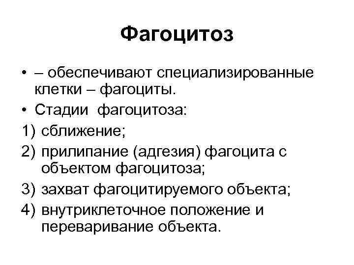 Фагоцитоз • – обеспечивают специализированные клетки – фагоциты. • Стадии фагоцитоза: 1) сближение; 2)