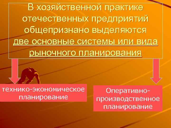 В хозяйственной практике отечественных предприятий общепризнано выделяются две основные системы или вида рыночного планирования