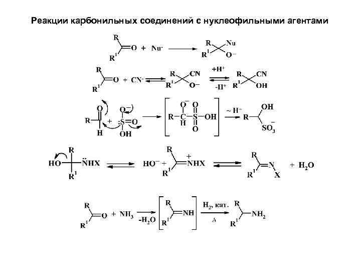Реакции карбонильных соединений с нуклеофильными агентами 