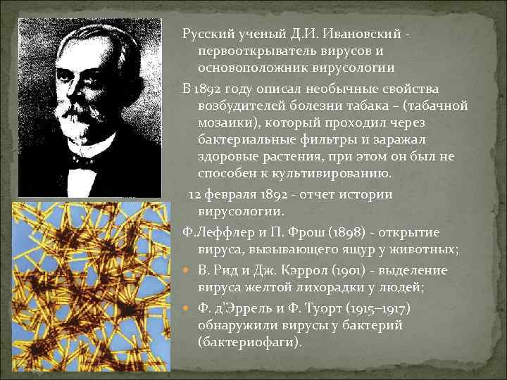 Русский ученый Д. И. Ивановский первооткрыватель вирусов и основоположник вирусологии В 1892 году описал