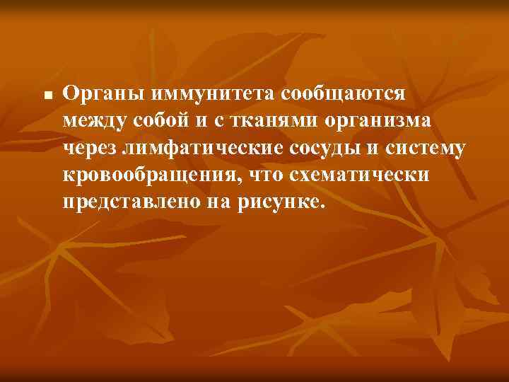 n Органы иммунитета сообщаются между собой и с тканями организма через лимфатические сосуды и