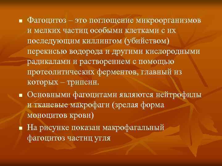n n n Фагоцитоз – это поглощение микроорганизмов и мелких частиц особыми клетками с
