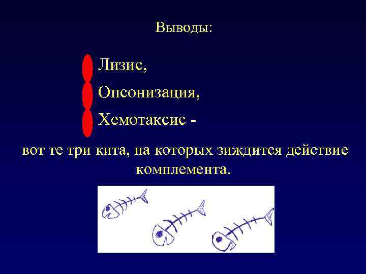 Выводы: Лизис, Опсонизация, Хемотаксис вот те три кита, на которых зиждится действие комплемента. 