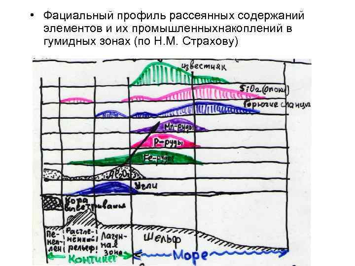  • Фациальный профиль рассеянных содержаний элементов и их промышленныхнакоплений в гумидных зонах (по