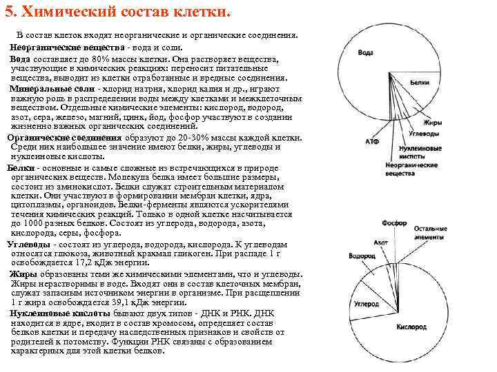 5. Химический состав клетки. В состав клеток входят неорганические и органические соединения. Неорганические вещества