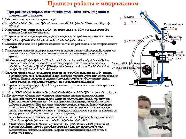 Лабораторная работа изучение микроскопа. Микроскоп правила работы с микроскопом. Правила работы с биологическим микроскопом. Инструкция пользования микроскопом. Правила использования микроскопа 5 класс.