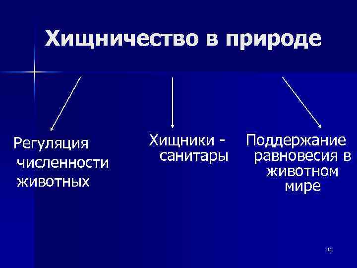 Хищничество в природе Регуляция численности животных Хищники - Поддержание санитары равновесия в животном мире